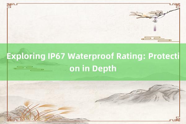 Exploring IP67 Waterproof Rating: Protection in Depth